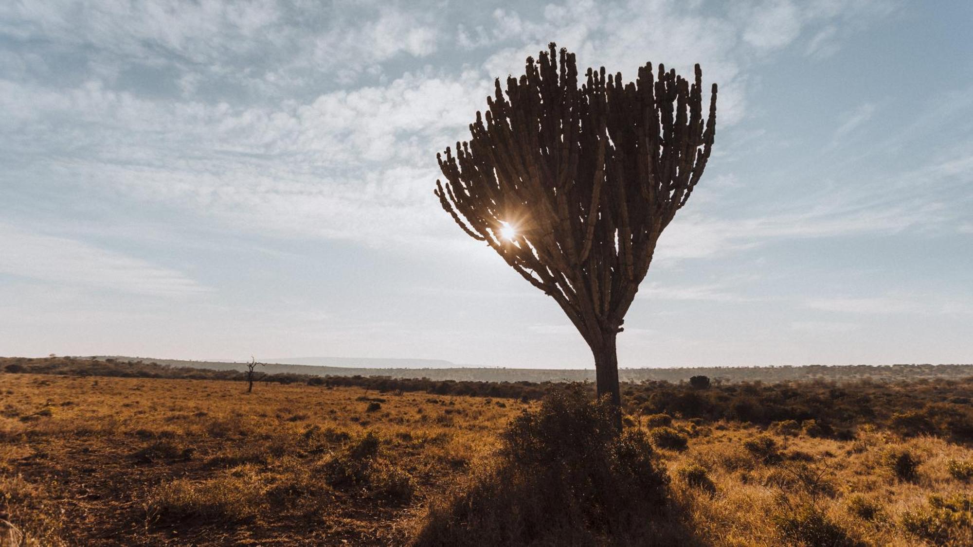 Umkhaya Lodge Mkuze Bagian luar foto